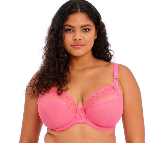 Matilda (SC) Plunge Bra EL8900 WIY - Wild Cherry