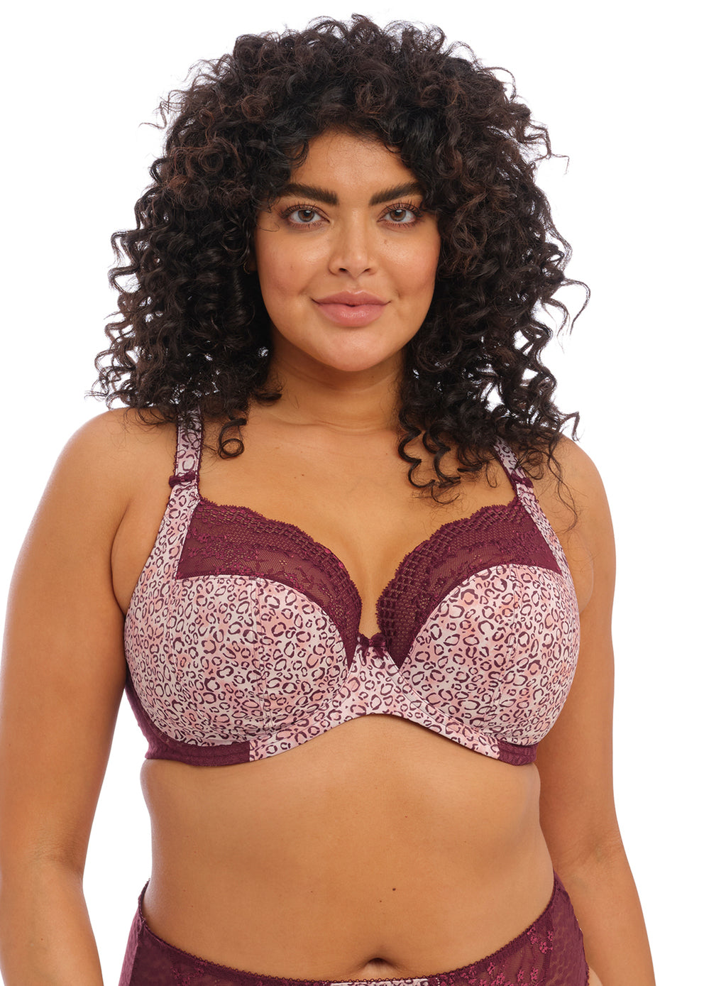 Elomi Lucie Banded Stretch Lace Plunge Underwire Bra (4490)- Aleutian -  Breakout Bras