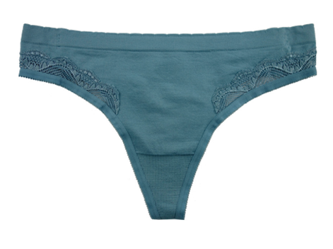 Seamless Thong with Lace Insert 524 - Blue – Purple Cactus Lingerie