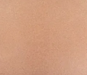 Ahh Natural Waist Seamless Brief 4230 - Sienna