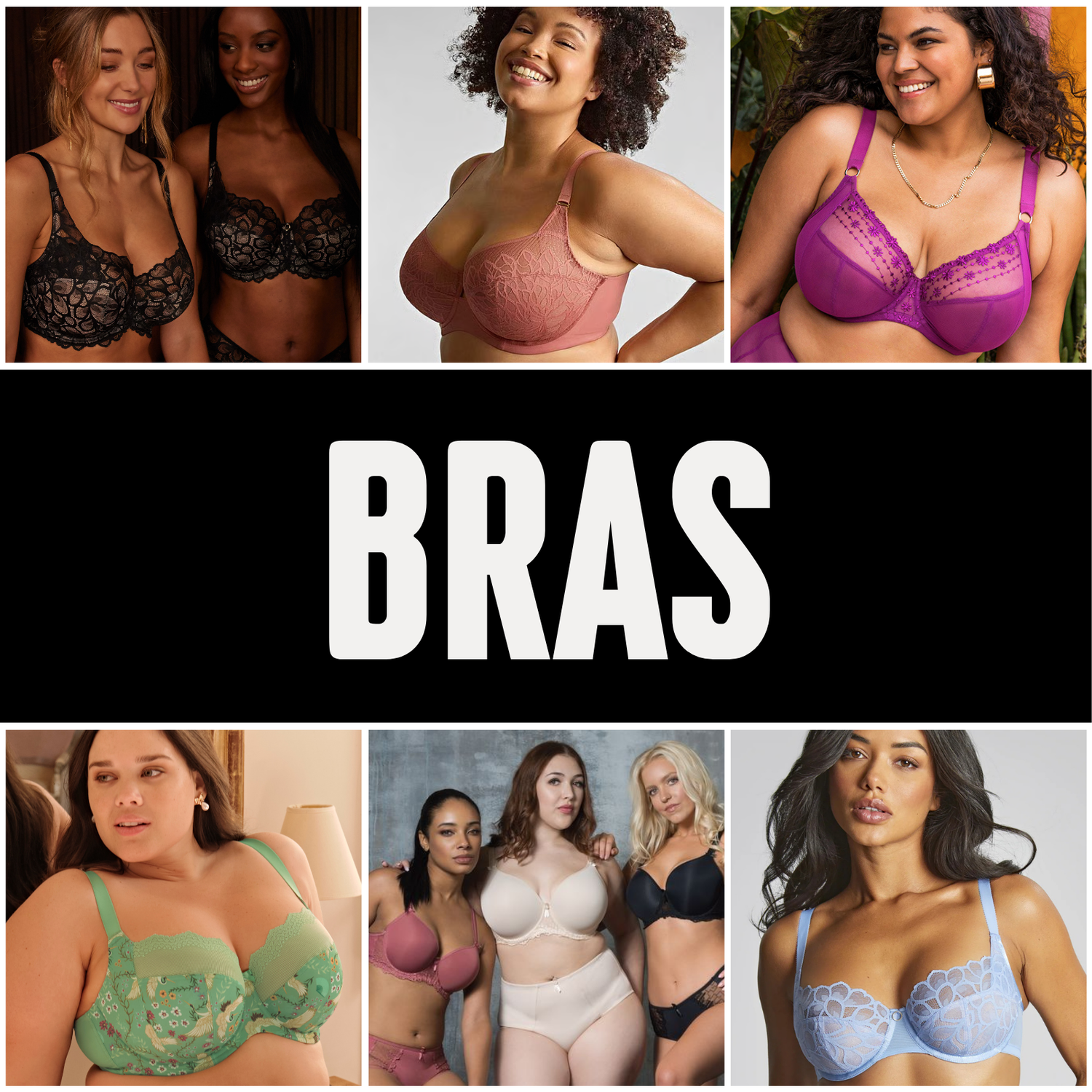 Purple Cactus Lingerie - Bras & Underwear for all shapes and sizes! Purple Cactus Lingerie - Bras & Underwear for all shapes and sizes!