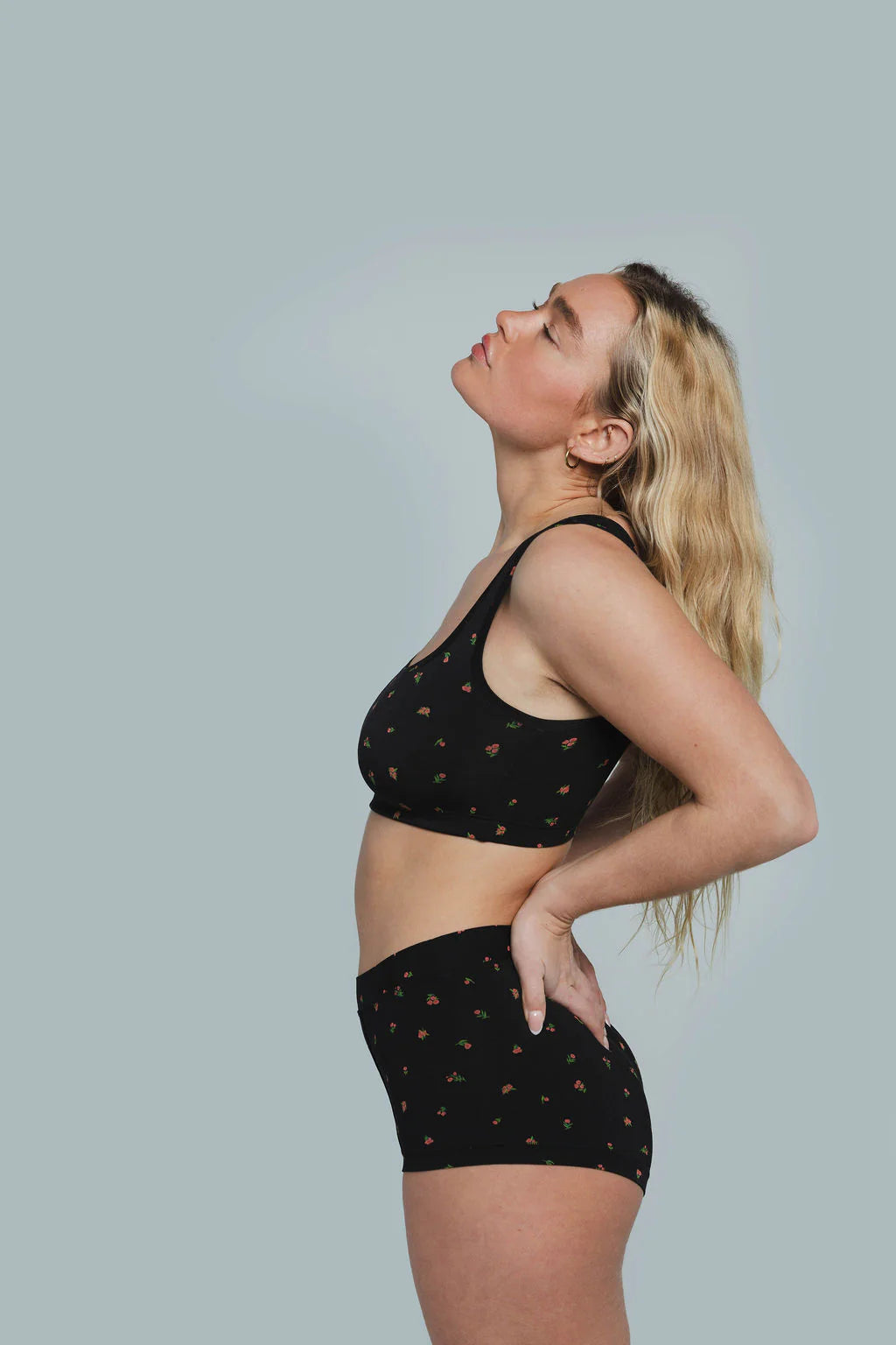 Brief (SC) Panty - Roses black