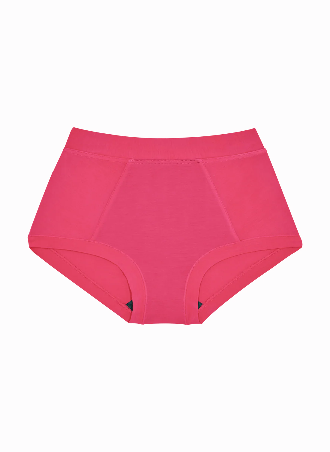 Brief (SC) Panty - Fuchsia