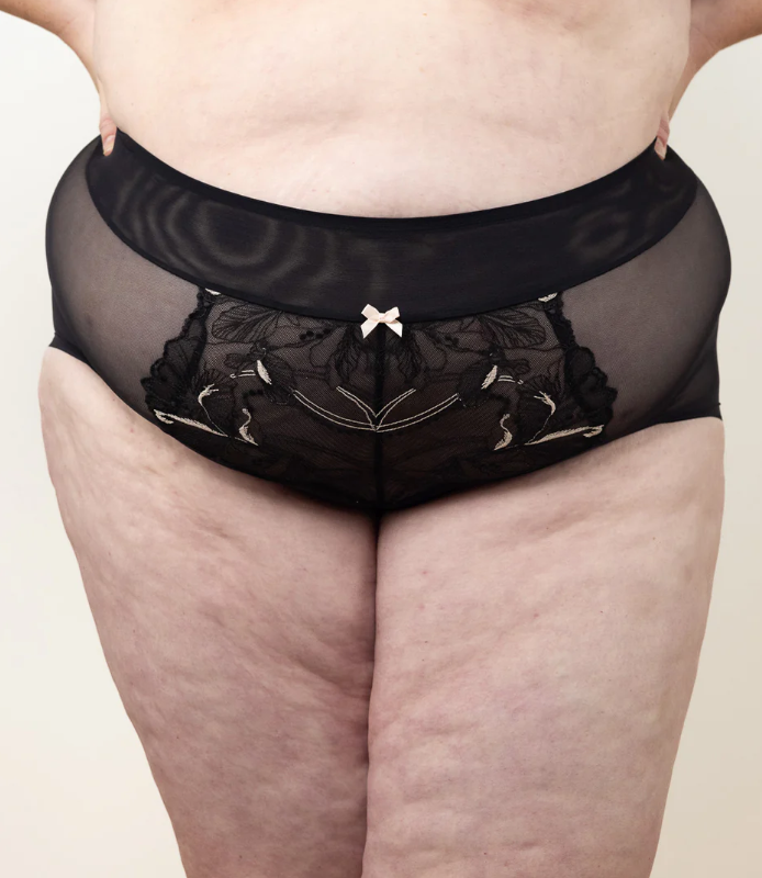 Penny (X) Ultra High-Rise Cheeky Brief - Black