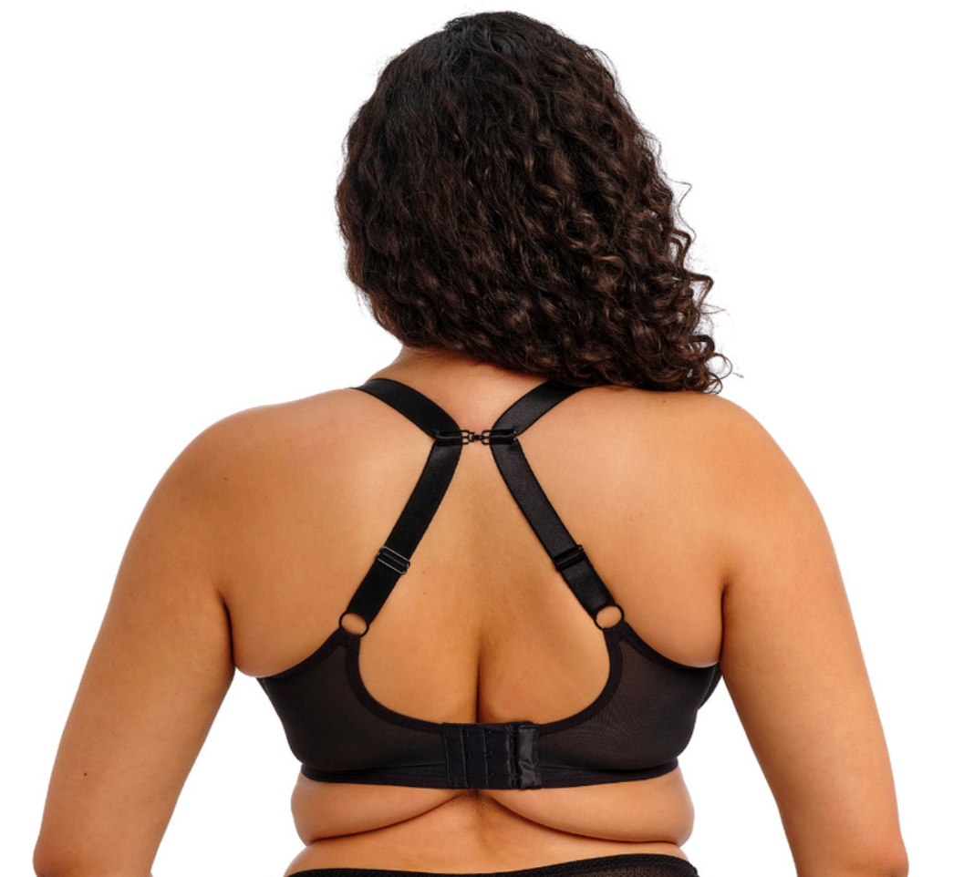 Tiernie Stretch Lace Plunge Bra EL303334 BLK - Black