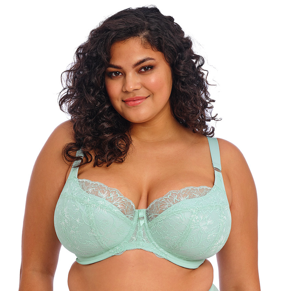 Brianna (SC) Padded Half Cup Bra EL8081 FRN - Frozen