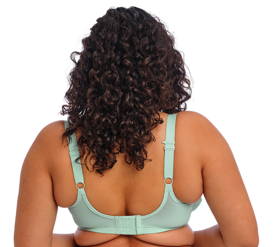 Brianna (SC) Padded Half Cup Bra EL8081 FRN - Frozen