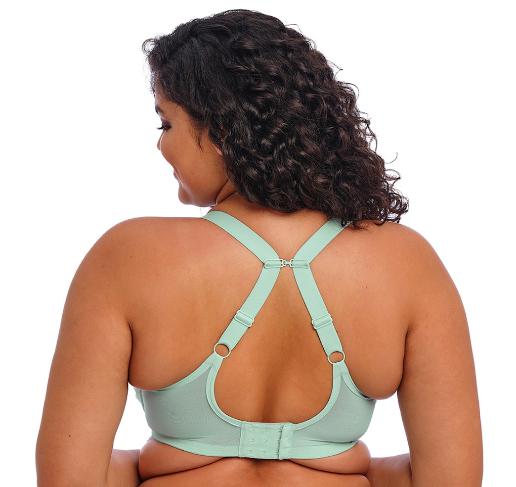 Brianna (SC) Padded Half Cup Bra EL8081 FRN - Frozen