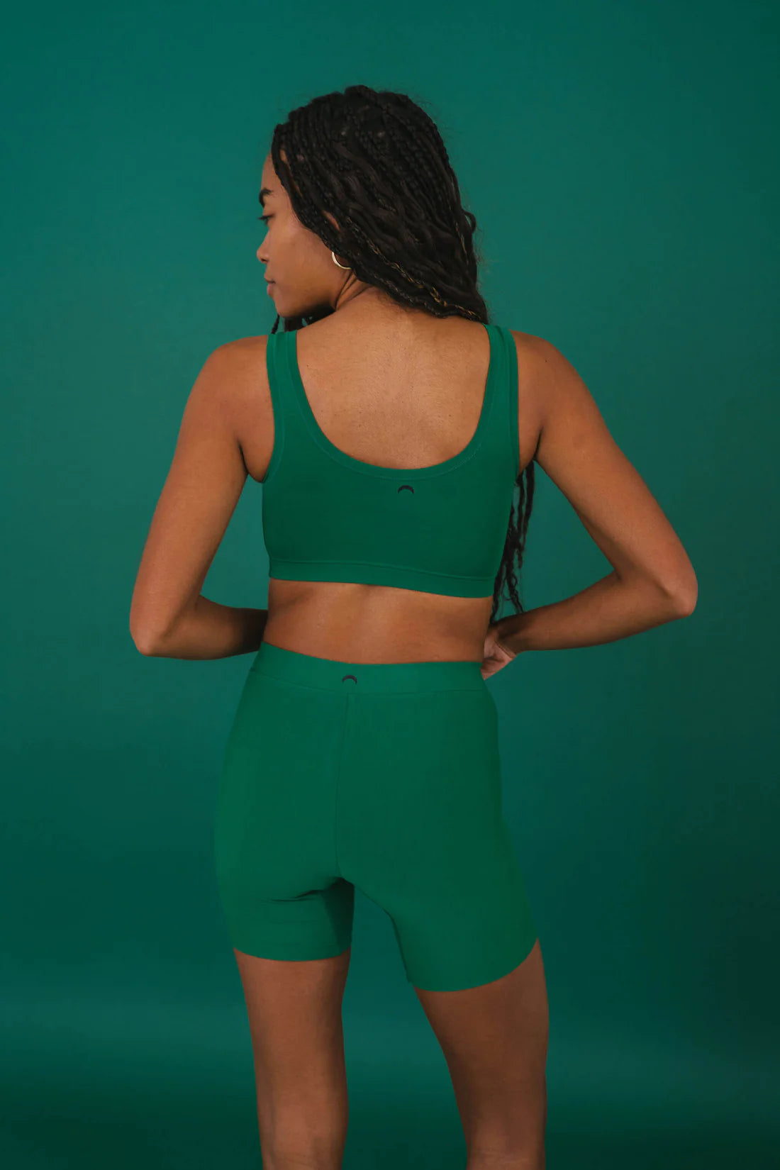 Long (SC) Boxer - Pine