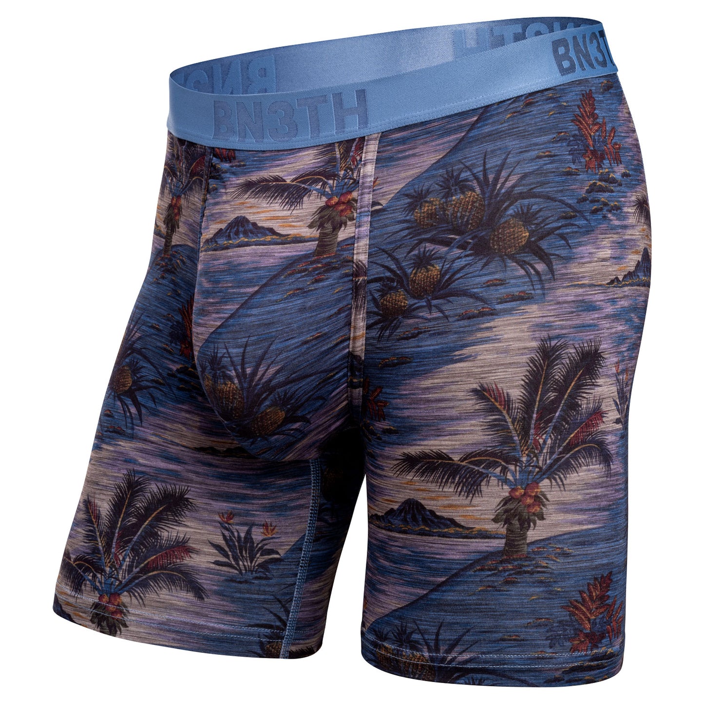 BN3TH 6.5" Classic Icon Boxer Brief A075 - Vintage Tropics - Heather Fog
