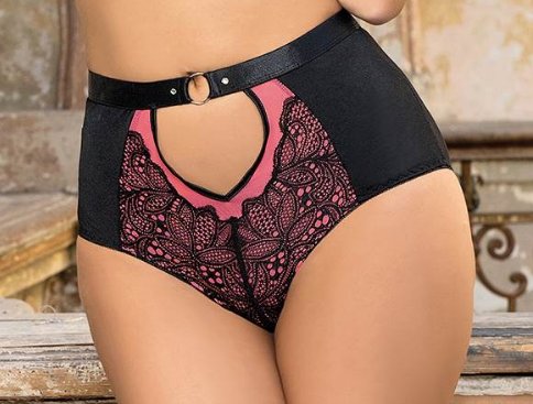 Lace and Mesh Brief 80886 - Pink with black
