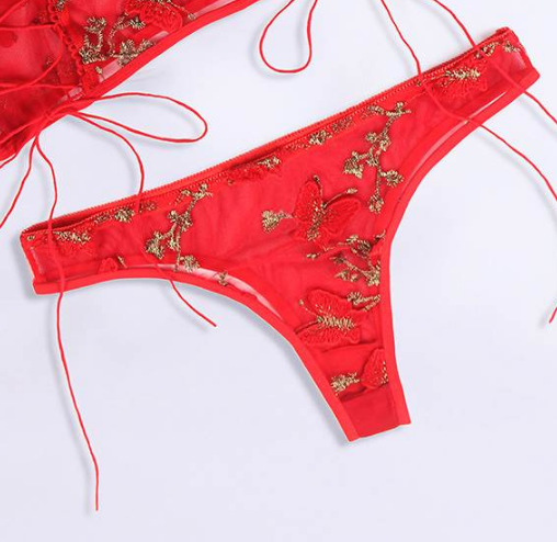 Butterfly Pattern Embroidery Mesh Cheeky Panty 1023P - Red