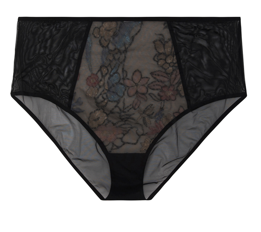 Celeste Sequined Embroidered High Waisted Brief