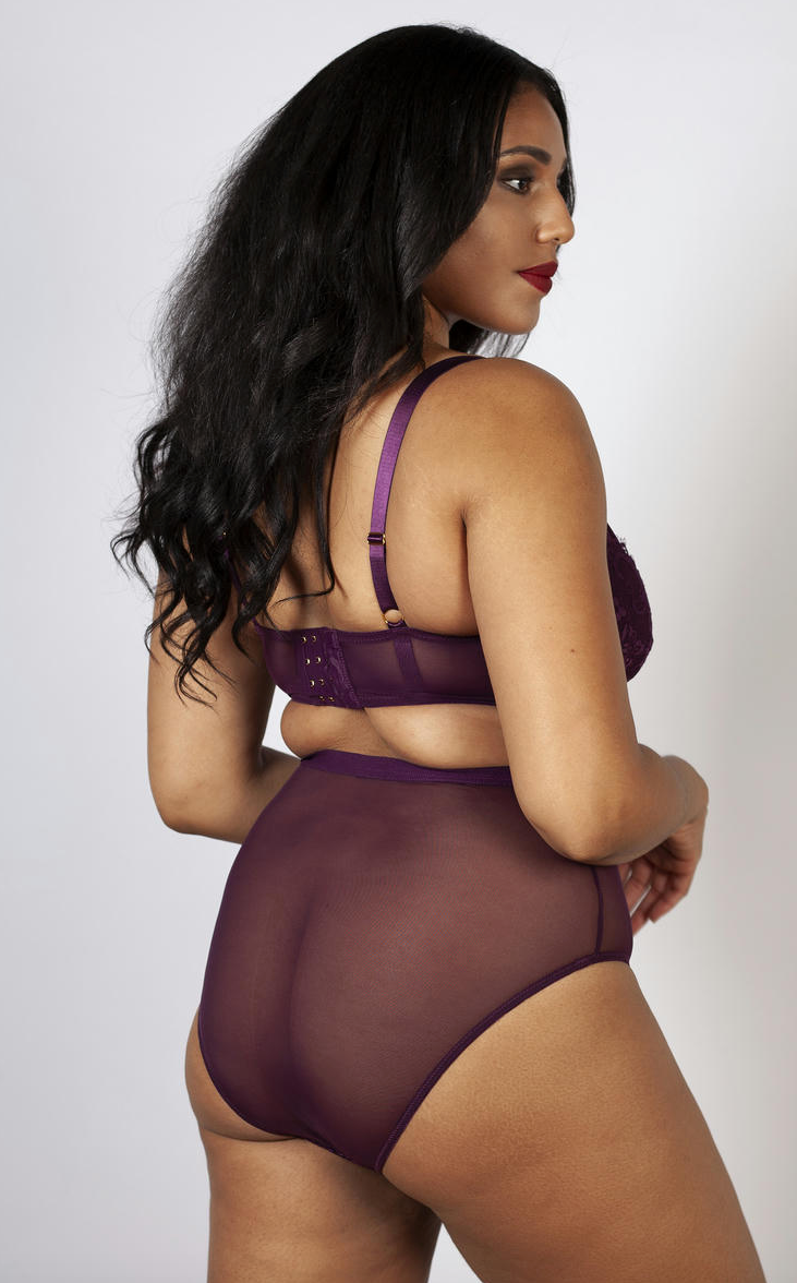 Bella Lace High Waist Brief PPGHW041P - Aubergine