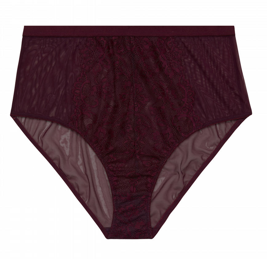 Bella Lace High Waist Brief PPGHW041P - Aubergine