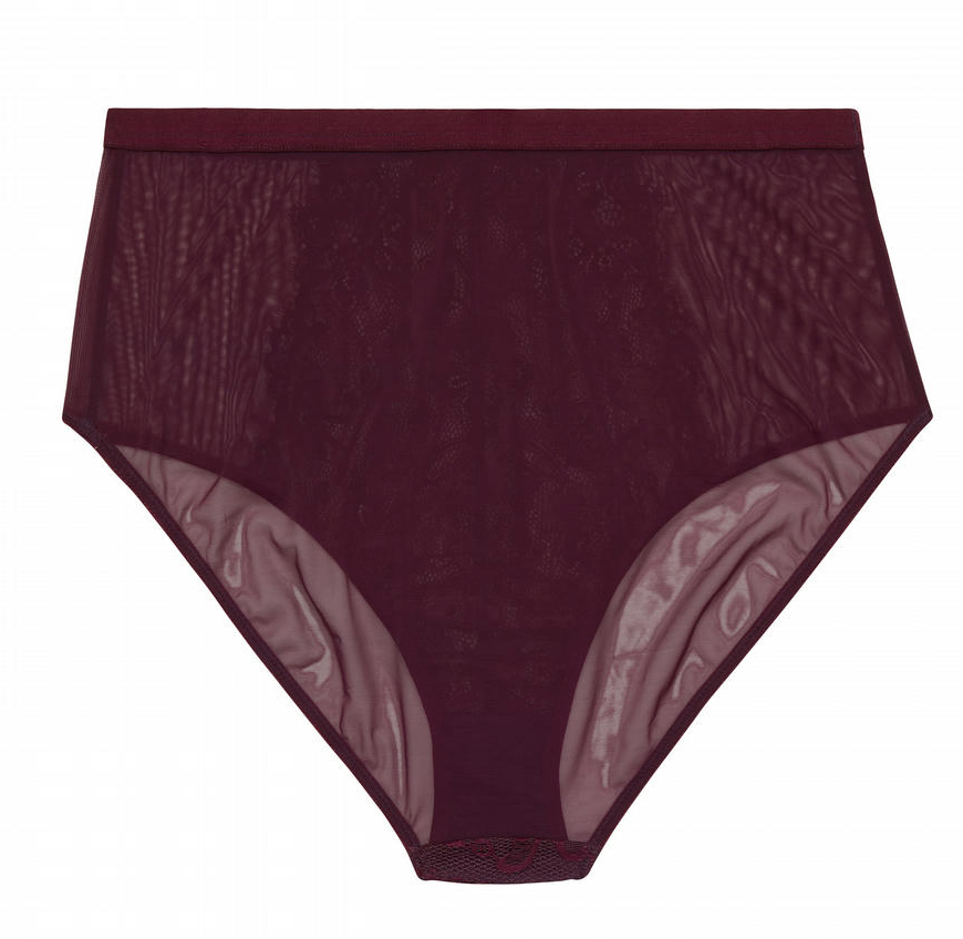 Bella Lace High Waist Brief PPGHW041P - Aubergine